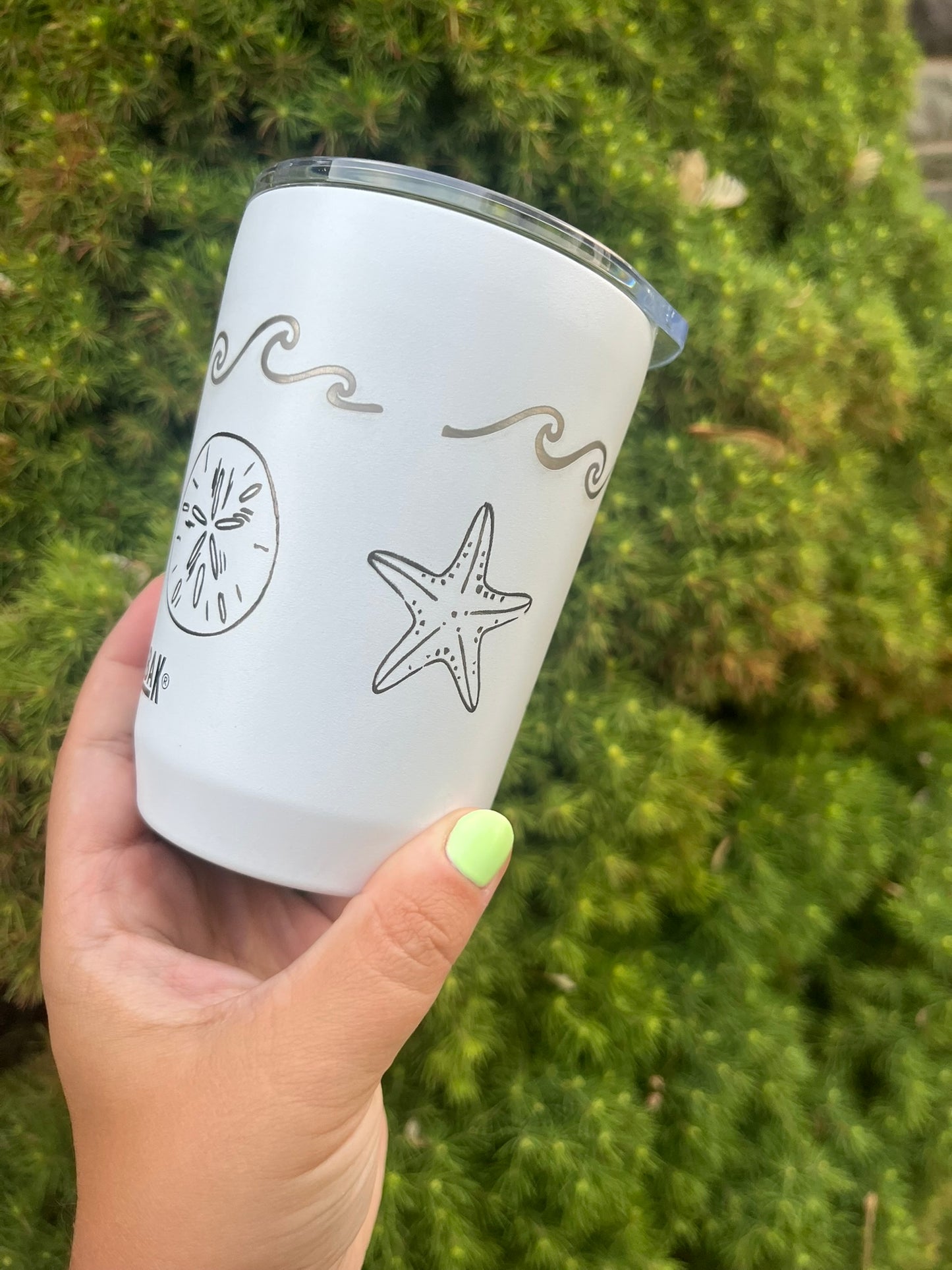 White 12oz. CamelBak Full Seashell and Waves Tumbler